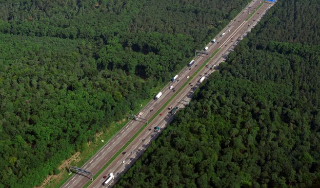 Odszkodowania za wypadki i szkody w transporcie międzynarodowym, gdy sprawcą jest obcokrajowiec.